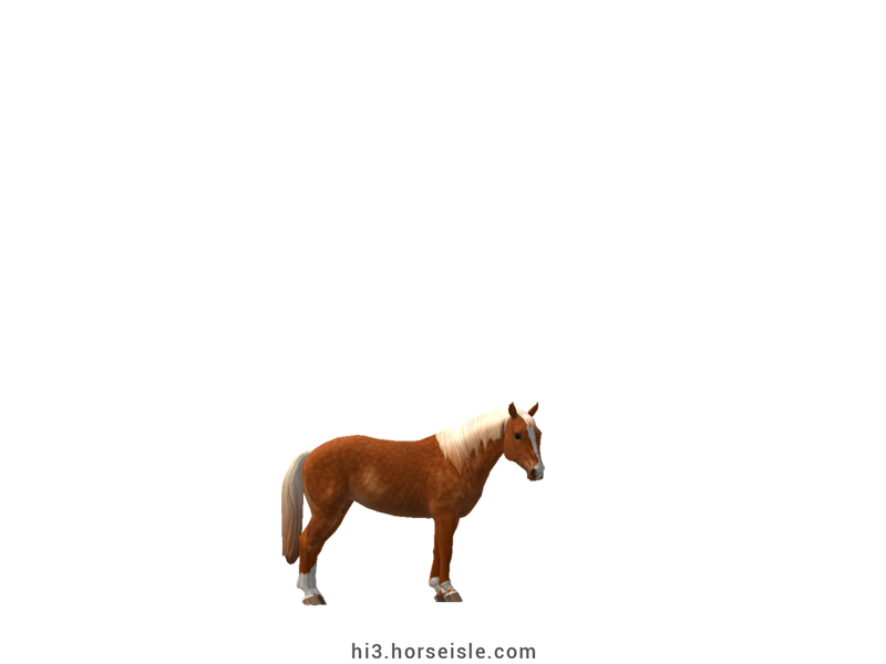 South African Miniature Horse Flaxen Red Chestnut Coat